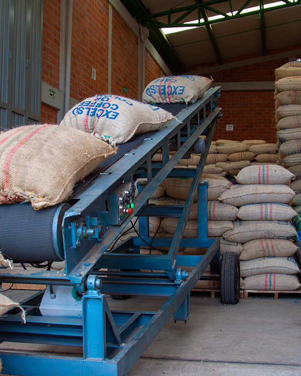 Columbia - Cauca - Femenino - imagine 2