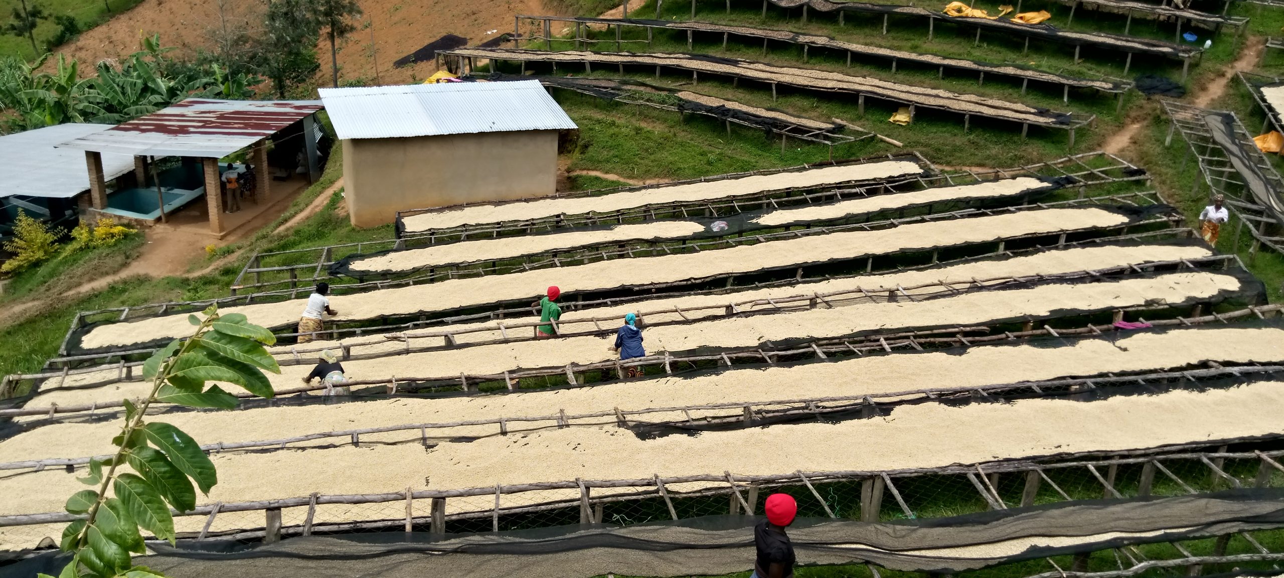 Rwanda - Nyamasheke Hills - imagine 2