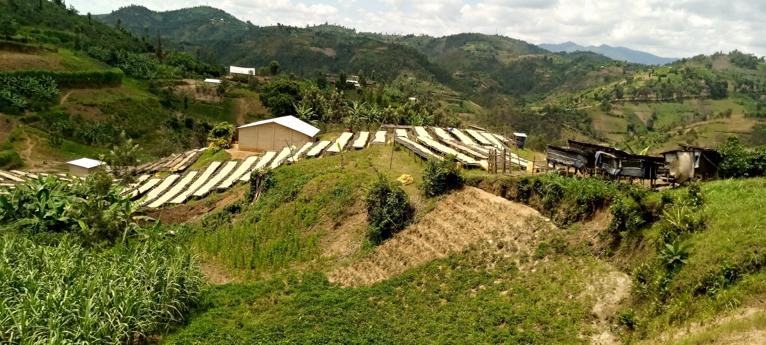 Rwanda - Nyamasheke Hills - imagine 3