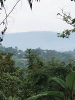 Ethiopia - Yirgacheffe -Aramo - imagine 4