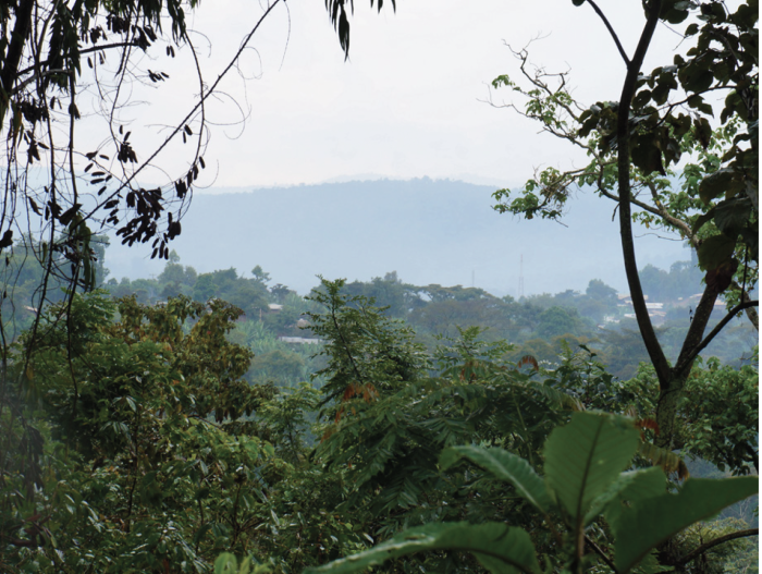 Ethiopia - Yirgacheffe -Aramo - imagine 4